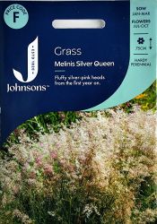 Silver Queen Grass Seeds